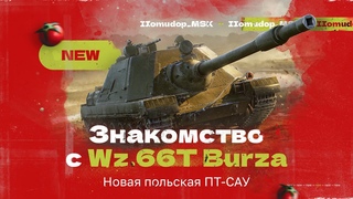 Burza  ПОЛЬСКАЯ ПТ-САУ VIII уровня | ЧЕСТНЫЙ ОБЗОР НОВОГО ПРЕМИУМ ТАНКА