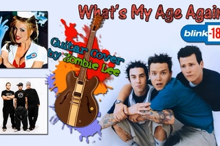 Blink 182 - What’s My Age Again (guitar cover) [HD]