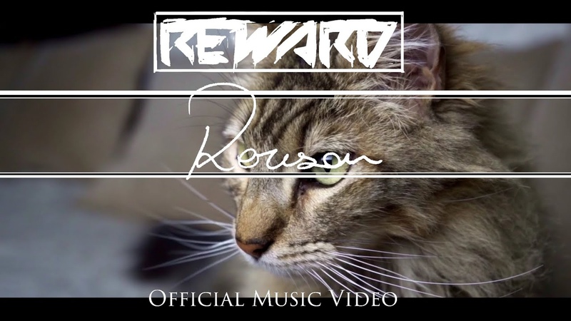 Reward Reason Official Music