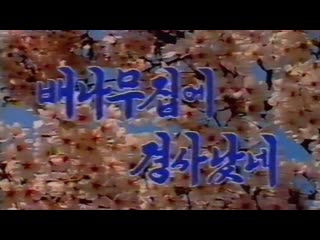 Pochonbo Electronic Ensemble -   (A Happy Event at the Home with Pear Tree)