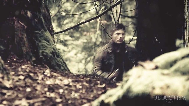 team free will, light em