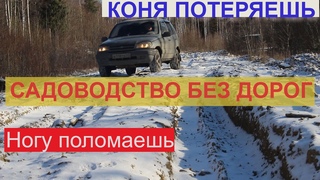 Дорога в СНТ Радуга п.Новая Ропша Лен.Обл.