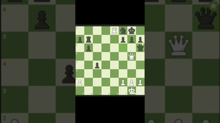 #shorts#chessbrillantmoves#chess#shorts#