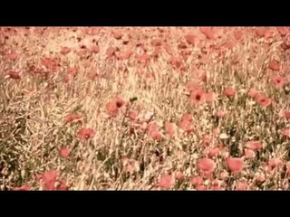 Deleyaman - Murdered Days