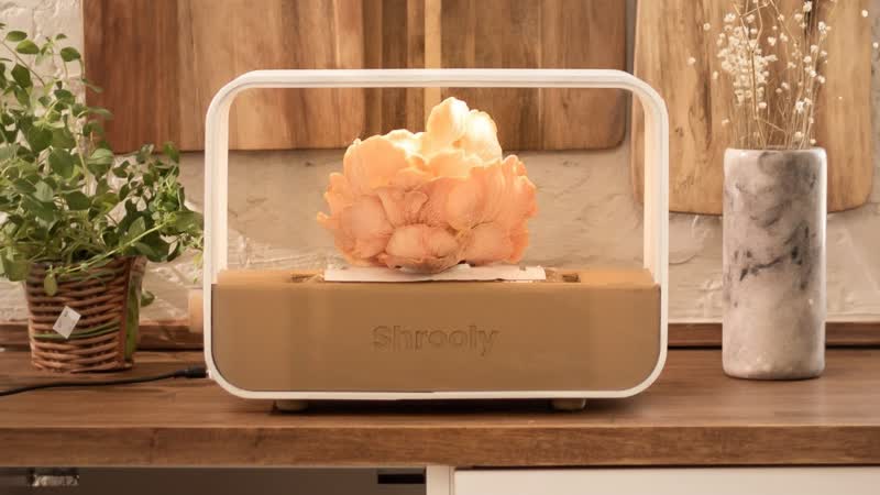 Shrooly Grow Mushrooms You Cant Find