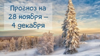 ГОРОСКОП НА НЕДЕЛЮ 28 ноября-4 декабря /Еженедельный прогноз ​​​​#гороскоп​​​ #прогнознанеделю