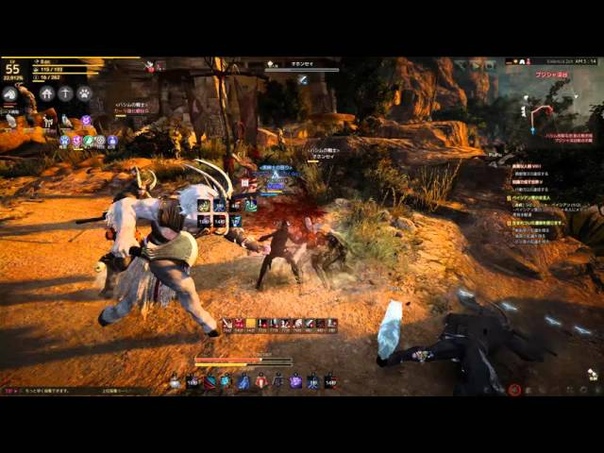 Black Desert Kunoichi, Ninja lvl55 grinding Valencia