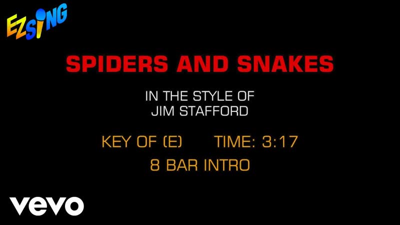 Jim Stafford Spiders Snakes ( Karaoke EZ