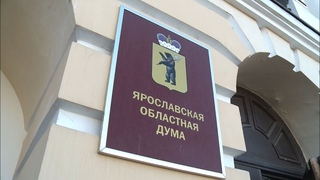 Ярославской областной думе  30 лет