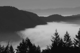 Australasia  - Twin Peaks Theme (Angelo Badalamenti cover)
