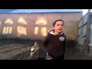Нападение петуха