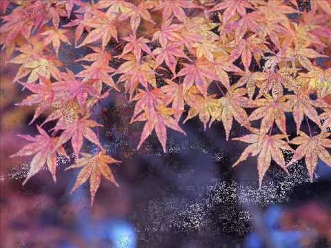 Romance Yuhki