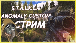 Stalker Anomaly Custom +415 МОДОВ | День 1 | СКИДКА ВЕСЬ ФЕВРАЛЬ НА ЗАКАЗ СТРИМОВ / ИГР / ФИЛЬМОВ