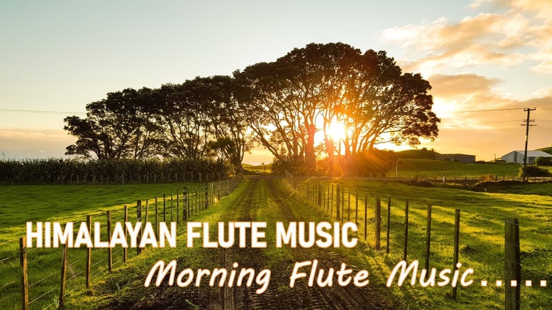 Morning Flute Music, Himalayan Flute Music, Meditation Music, (ब स र ) Aparmita Ep.