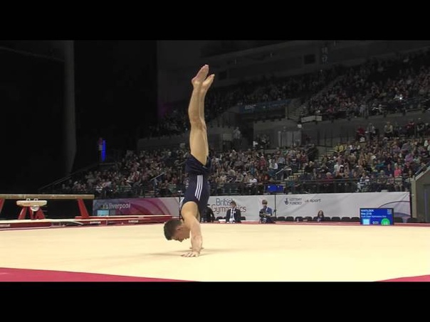 Max WHITLOCK Floor 2016 Mens Senior