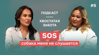 ПОДКАСТ ХВОСТАТАЯ ЗАБОТА #6: SOS! Собака меня не слушает