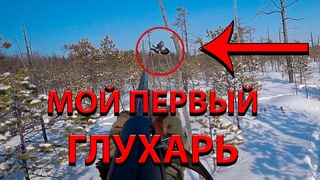 Охота на глухаря с лунки ХМАО 2023