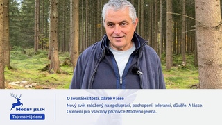 O sounáležitosti. Dárek v lese