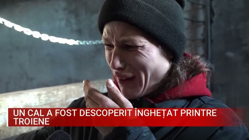 Un cal a fost descoperit înghețat printre
