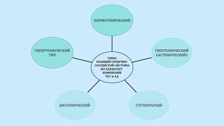 Функциональное состояние при физической деятельности