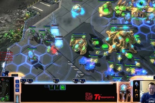 PvT expo and mass stalkers with blink
