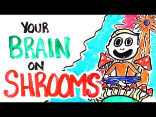 Your Brain On Shrooms