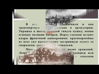 Животные  герои Великой Отечественной войны