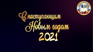 “Новогоднее поздравление директора МОУ СОШ пос.МИС - Жало Марины Сергеевны“