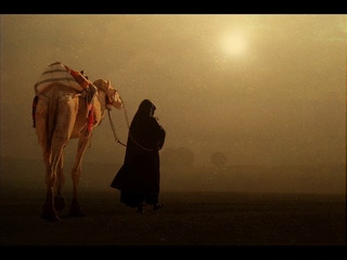 Shaman’s Haze (hindu-arab dubs,downtempo,psychill)