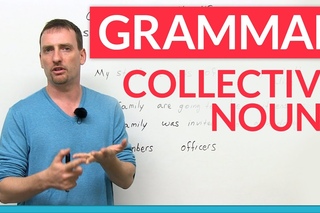 55. Advanced English Grammar: Collective Nouns