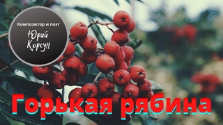 Песня “Горькая рябина“. Слова и музыку написал петербургский композитор Юрий Корсун. Исполняет автор