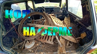 СНОВА ПЛИТЫ