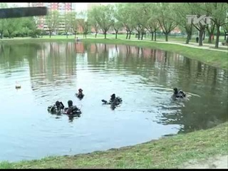 Для пруда на Будапештской  нашлось ровно 10 карасей