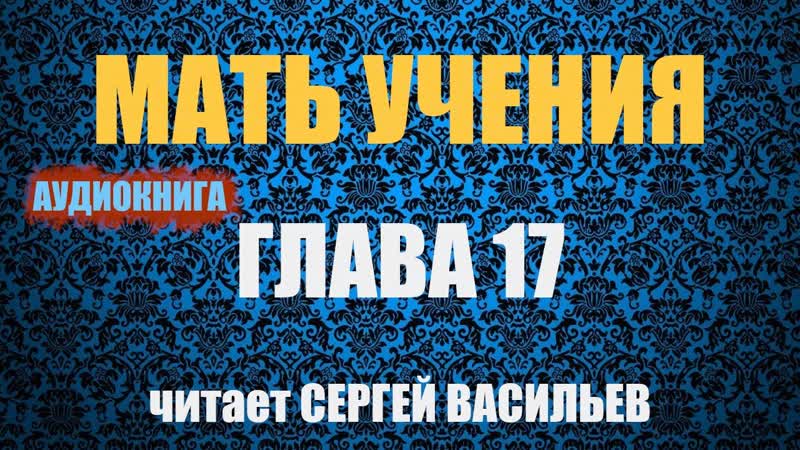 Мать учения Паучья симпатия (аудиокнига Васильев С.
