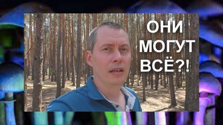 Расшарить подсознание.  Псило ГРИБЫ в сравнении с Мухомором. Польза или вред