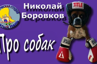 О собаках. Николай Боровков.Мульт #стих Какие бывают собаки.Деткам и малышам.