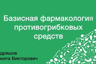 Базисная фармакология противогрибковых средств