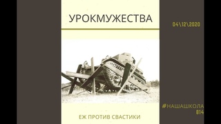 Урок мужества  Еж против свастики