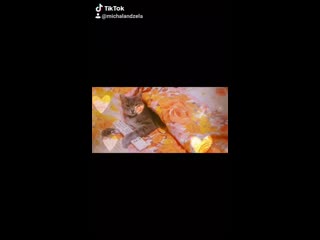 Видео от Michaela Brankovic