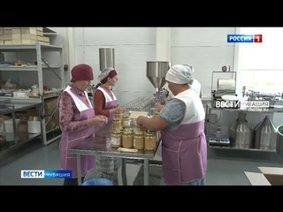 Благодаря грантовой поддержке в деревне Канашского округа удалось создать крупное производство меда