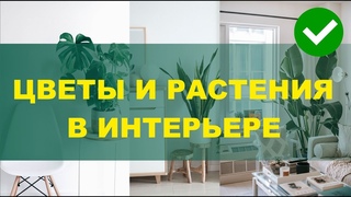 ✅ЦВЕТЫ И РАСТЕНИЯ В ИНТЕРЬЕРЕ