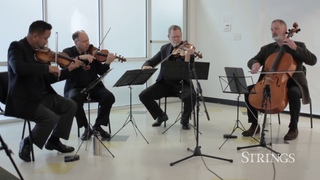 Strings Sessions: Alexander String Quartet Performs Mozart and Brahms