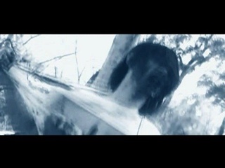 Lesiem - Una Terra
