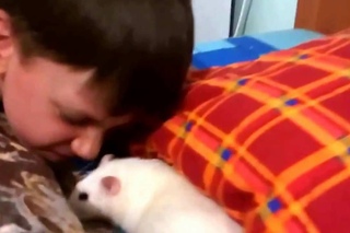 The white rat Chip -- Белая крыса Чип