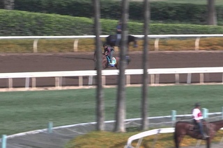 Triple Crown winner American Pharoah works at Santa Anita - 6/29/15