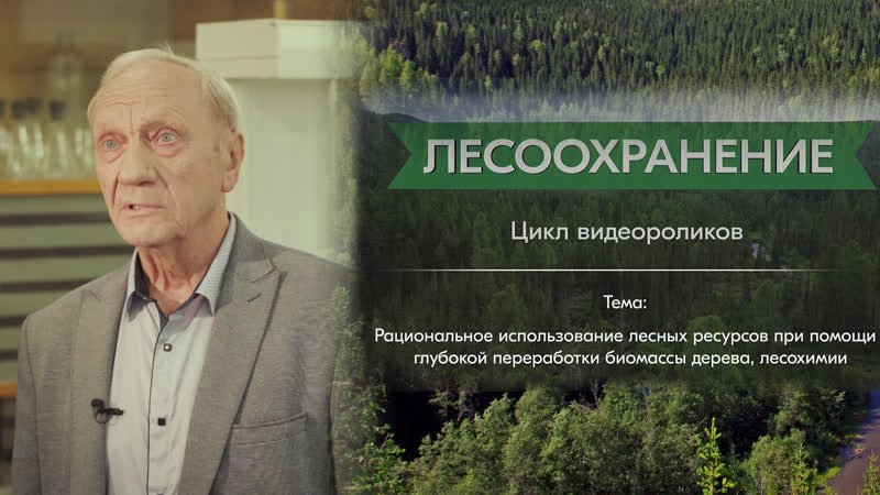 Рощин В. И. : рациональное использование лесных ресурсов при