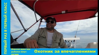 Лишаем девственности 115 лошадей...