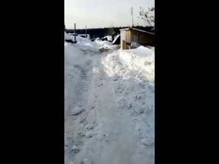 Последствия не очищенных дорог г. Березовский Кемеровская область