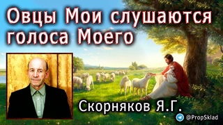 Скорняков Я.Г. Овцы Мои слушаются голоса Моего