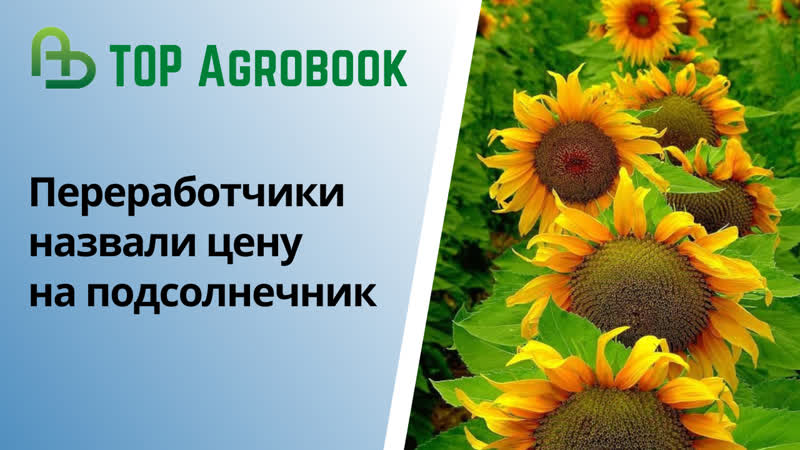 Переработчики назвали цену на подсолнечник. TOP Agrobook: обзор